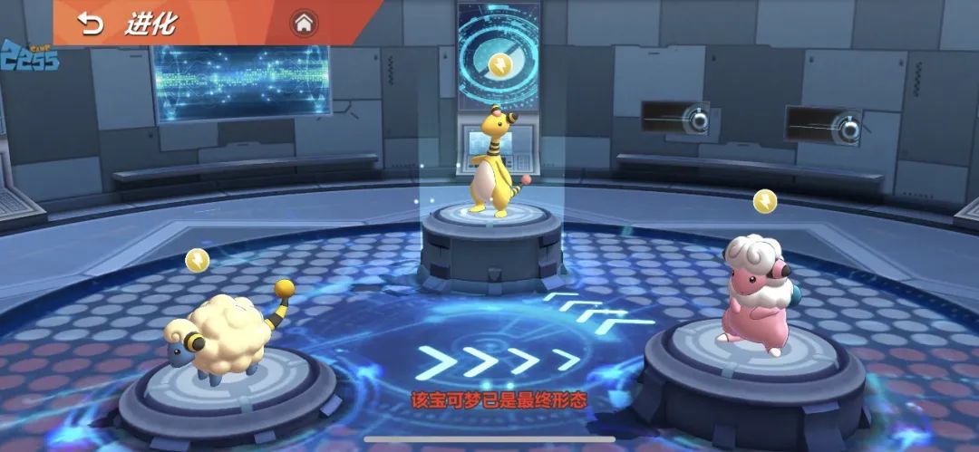 《喵喵爱冒险》丨宝可梦基础讲解